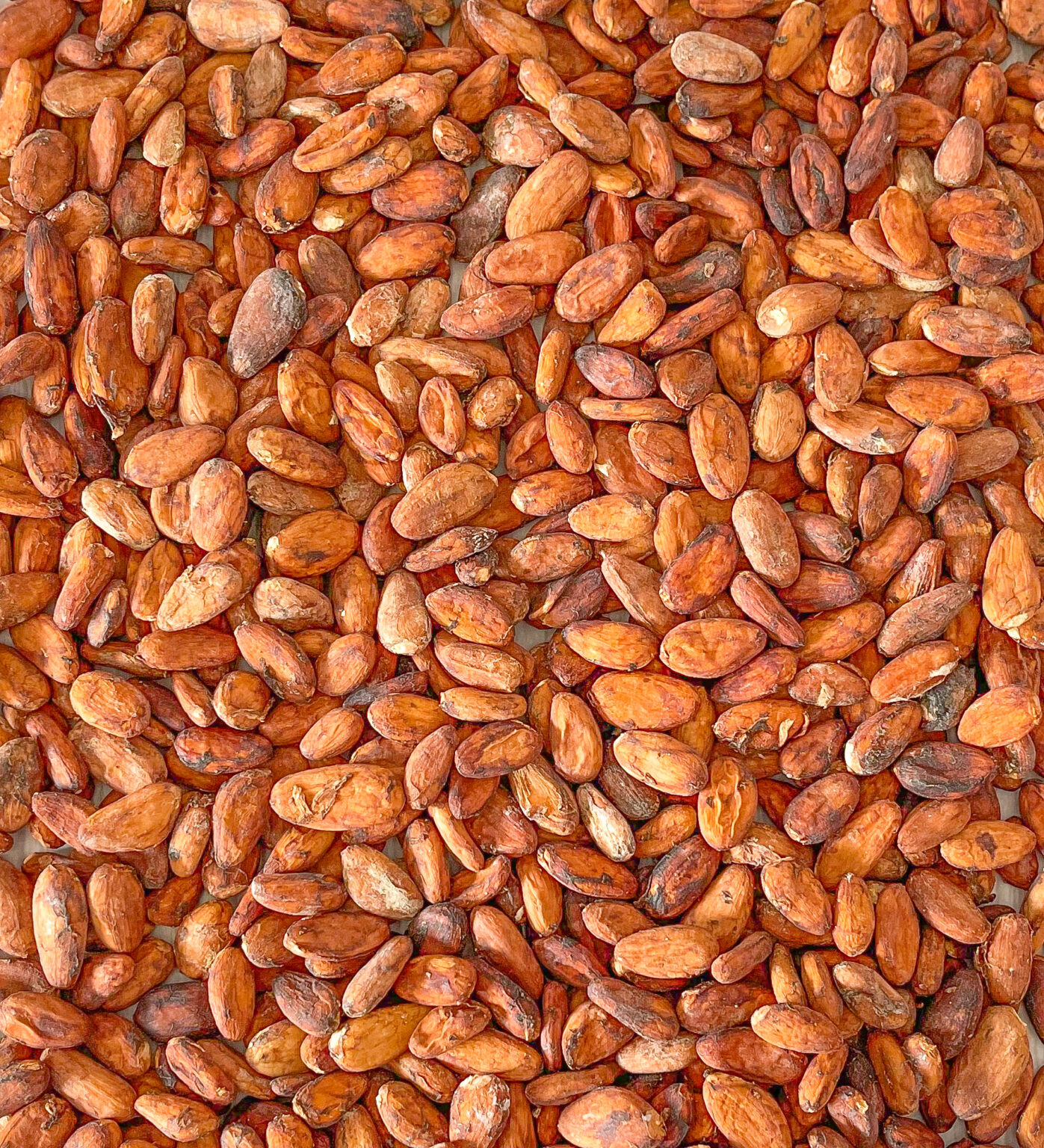 Premium Nigerian Chocolate and Chocolate Gifts Pod Chocolates